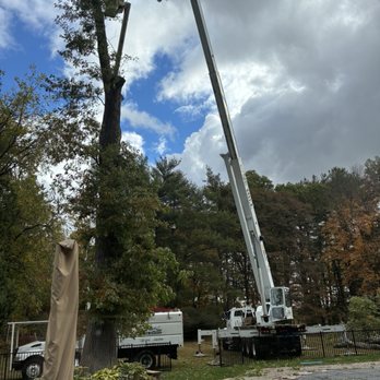 Pine Hill Tree Service - Removal of 2 oak trees! - Tree Services Near Me - Mahwah, New Jersey Pine Hill Tree Service - Removal of 2 oak trees! - Tree Services Near Me - Mahwah, New Jersey