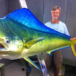 New Wave Taxidermy - Bull Dolphin Mahi-Mahi fish mount by New Wave Taxidermist - Michael Kirkhart, who specializes in Fish Artistry.