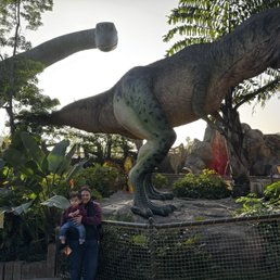 Dinosaur