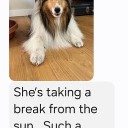 Text update from Freya during their day together. Super professional and friendly. Text update from Freya during their day together. Super professional and friendly.