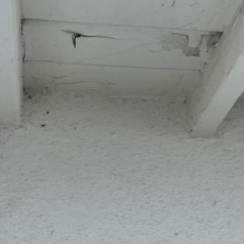 MacroPest Exterminators - These are everywhere...not sure where they scraped down spider webs from. - Pest Control Near Me - San Pedro, California MacroPest Exterminators - These are everywhere...not sure where they scraped down spider webs from. - Pest Control Near Me - San Pedro, California