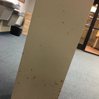 Great Wolf Lodge - Not sure what this spatter is on the pillar in the fitness room but it needs a new coat of paint or a scrub. Yikes!! - Resorts Near Me - Concord, North Carolina Great Wolf Lodge - Not sure what this spatter is on the pillar in the fitness room but it needs a new coat of paint or a scrub. Yikes!! - Resorts Near Me - Concord, North Carolina