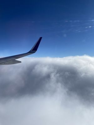 Delta Air Lines by null
