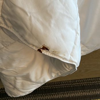 The Wayfarer San Diego - Not sure what was in the bed - San Diego, CA