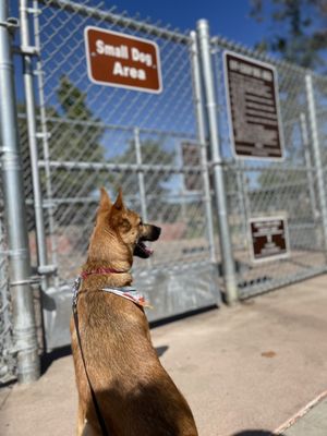 Reed Street Dog Park by null