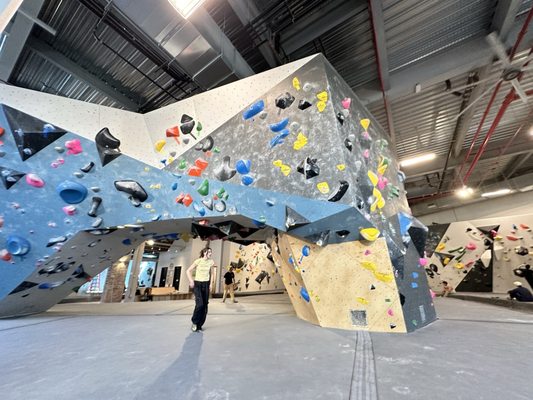 VITAL Climbing Gym - Brooklyn by null