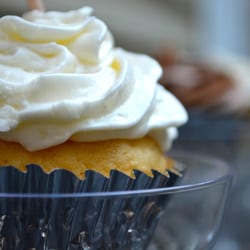 Buzzy Bakes Bakeshop 