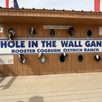 Rooster Cogburn Ostrich Ranch - Love - Petting Zoos Near Me - Picacho, Arizona Rooster Cogburn Ostrich Ranch - Love - Petting Zoos Near Me - Picacho, Arizona
