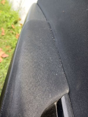 Octopus Car Wash by null