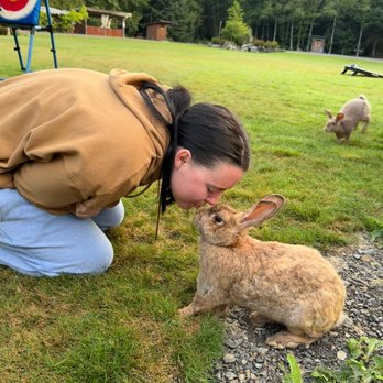 Mossquatch Resort - Rabbit - Vacation Rentals Near Me - Forks, Washington