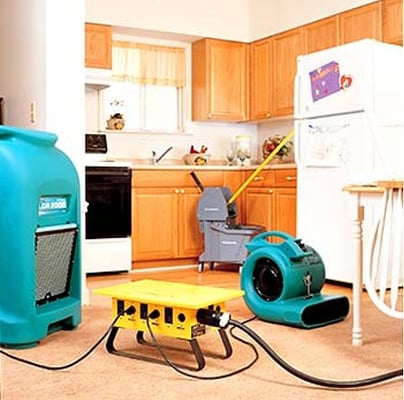 ALEXANDER’S CARPET CLEANING Blue Springs, MO - Updated November 2024