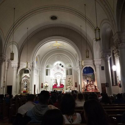 St. Patrick Cathedral by null