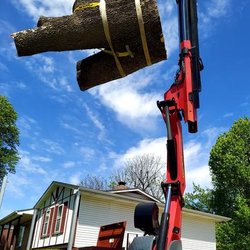 Allen's Tree Service - untitled