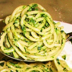 Schnitzelhaus Pizzeria Rolandseck - Spaghetti Bärlauch-Spinatpesto