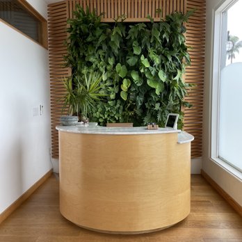 Essential Medicine - Reception area - Acupuncture Near Me - San Diego, California Essential Medicine - Reception area - Acupuncture Near Me - San Diego, California