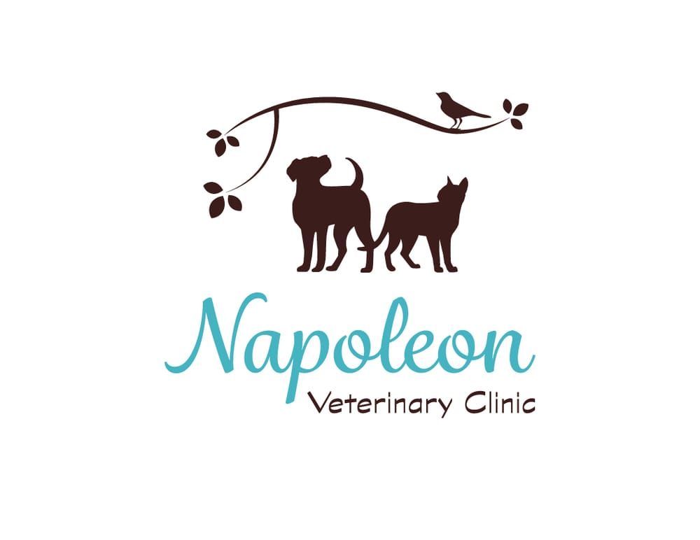 NAPOLEON VETERINARY CLINIC Updated June 2024 645 American Rd