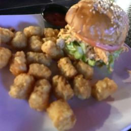 Pulled Chicken Sandwich