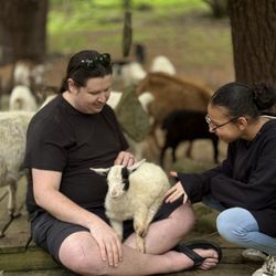 Mariavilla Goat Farm