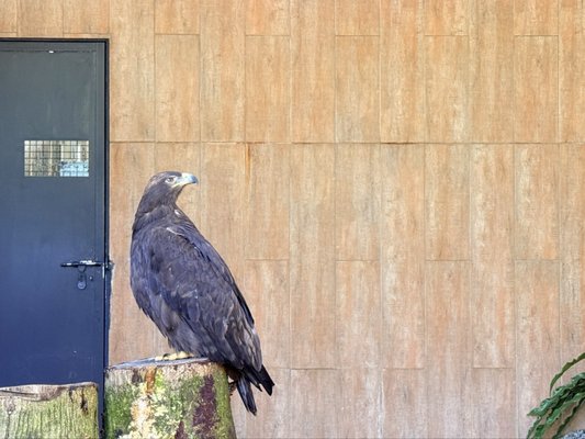 Kadoorie Farm and Botanic Garden by null