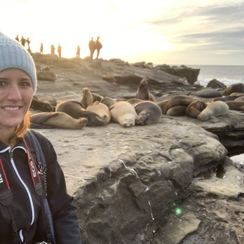 La Jolla Cove - Sea lion selfie at sunset - Parks Near Me - La Jolla, California