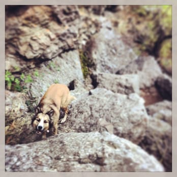 The Grotto - If she can do it.. so can you!!! This is the bouldering area. - Hiking Near Me - Malibu, California The Grotto - If she can do it.. so can you!!! This is the bouldering area. - Hiking Near Me - Malibu, California