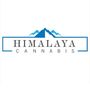 Photo of Himalaya Cannabis