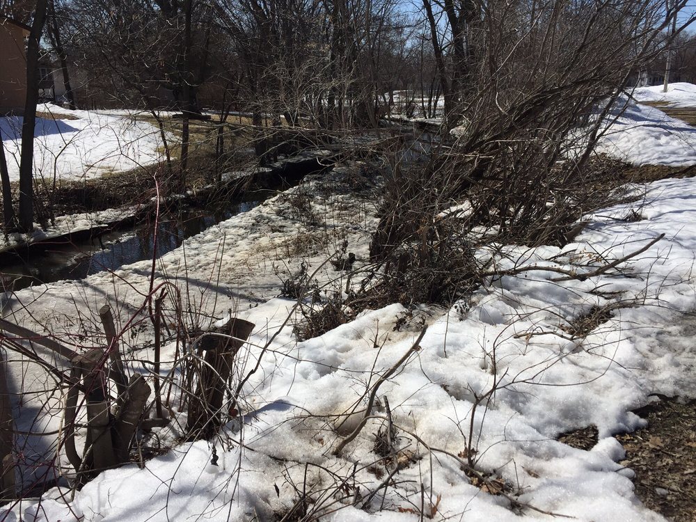 AURELIA PARK Updated August 2024 385 91st Ave NE, Blaine, Minnesota