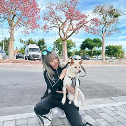 Nancy's Doggo Daycare - dog walking, dog boarding, pet sitting, dog daycare, doggie daycare, dog training, pet hotel, private pet sitter, overnight