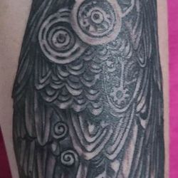 Main Street Tattoo and Rachell's Massage - Steampunk peregrine falcon