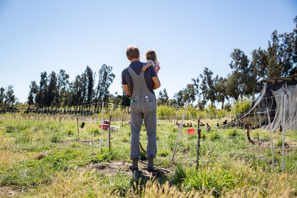 Apricot Lane Farms by null