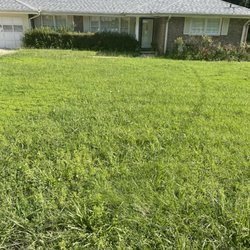 Lupe’s Landscaping - Before