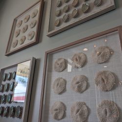 Abundant Health Float and Day Spa