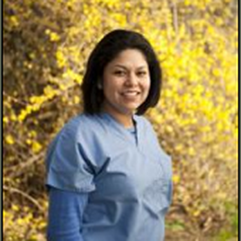 Tom Seal, DDS - Oral Surgeons Near Me - Kirkland, Washington Tom Seal, DDS - Oral Surgeons Near Me - Kirkland, Washington