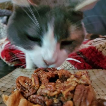 Papi's Pies - We had to take the plate away from her! She wouldn't stop eating Papi's pecan pie! - Desserts Near Me - Round Rock, Texas Papi's Pies - We had to take the plate away from her! She wouldn't stop eating Papi's pecan pie! - Desserts Near Me - Round Rock, Texas