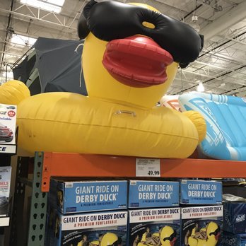 Costco - Oh yea!!! Now this will be a hoot! - Wholesale Stores Near Me - Austin, Texas Costco - Oh yea!!! Now this will be a hoot! - Wholesale Stores Near Me - Austin, Texas