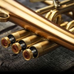 Barnett Music Exchange - Adams Brass