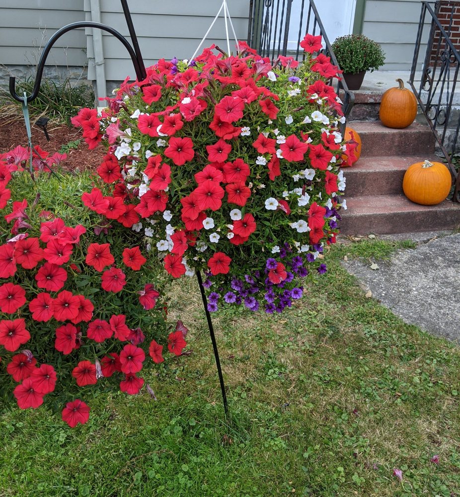 GRABBER & SONS LANDSCAPING AND NURSERY Updated October 2024 29