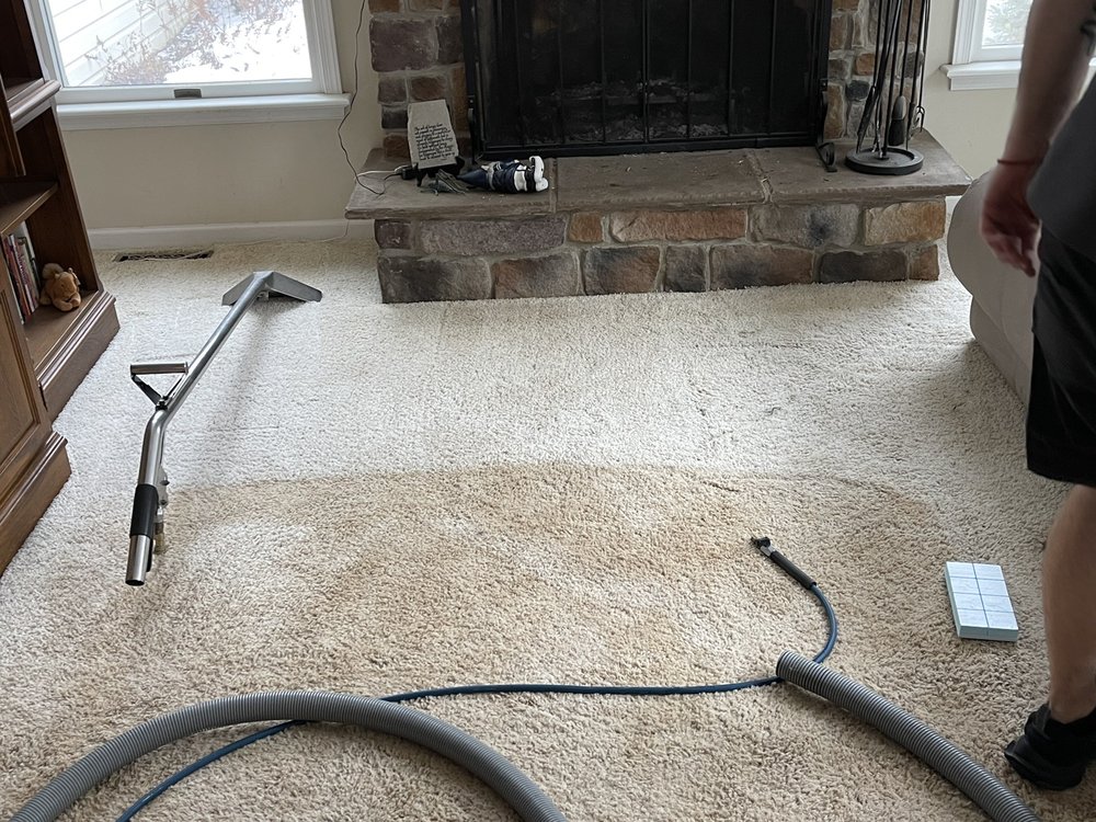 CASTLE CLEAN Updated July 2024 13 Reviews 559 Saw Mill Rd