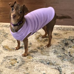 Healthy Pets of Lewis Center