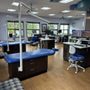 Photo of Stellar Kids Dentistry