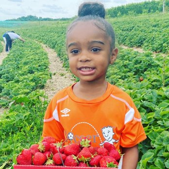 Triple B Farms - Pick Your Own Farms Near Me - Monongahela, Pennsylvania
