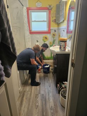 Paddy's Potty Services