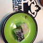 Photo of Sumo Sushi & Grill Štěrboholy