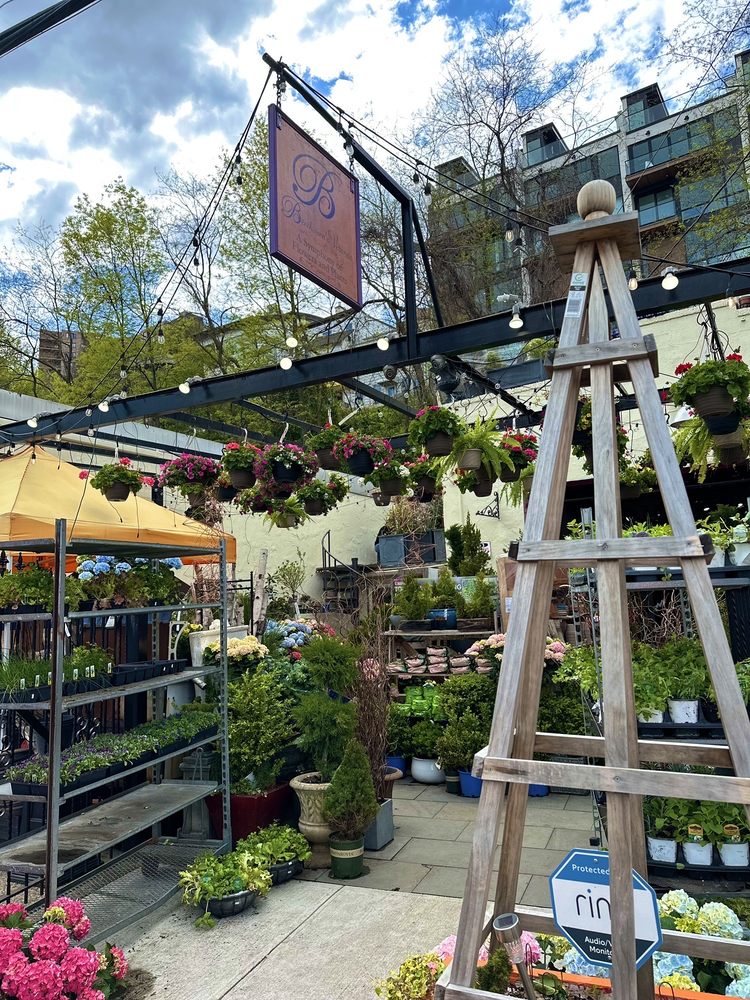 BEETHOVEN’S VERANDA Updated August 2024 256 Photos & 79 Reviews