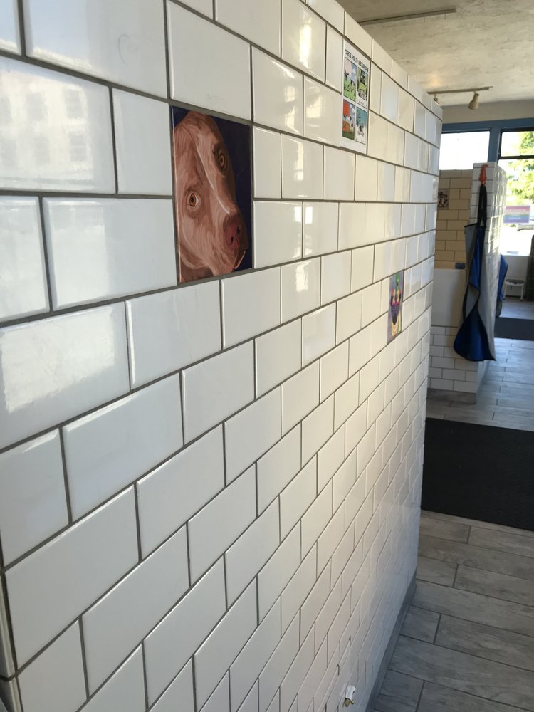 RUB-A-DUB DOG DO-IT-YOURSELF DOG WASH - Updated July 2025 - 74 Photos