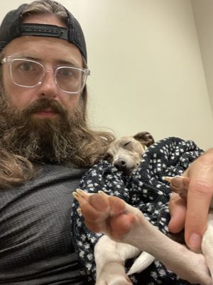 Animal Emergency & Specialty