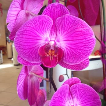 Polish Pros - Nail Salons Near Me - San Diego, California Polish Pros - Nail Salons Near Me - San Diego, California