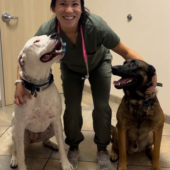 Coastview Veterinary Hospital - Veterinarians Near Me - San Diego, California Coastview Veterinary Hospital - Veterinarians Near Me - San Diego, California
