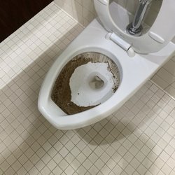 Preble High School - I went to the bathroom