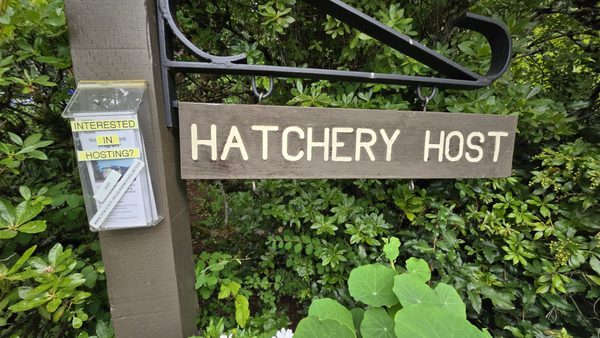 Bonneville Fish Hatchery by null